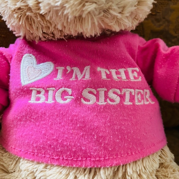 🎀GUND🐻 “I’m the Big Sister” Bear - Picture 4 of 5